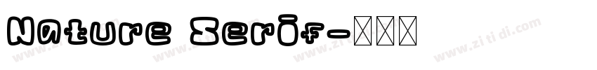 Nature Serif字体转换